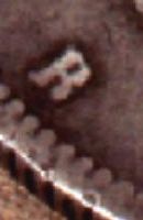 5 lei 1881 - DOMN - detaliu cu litera B (a doua pies)