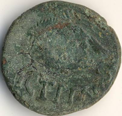 Commodus / acvil pe delfin - moned btut la Histria - revers