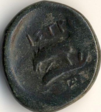 Demetra / acvil pe delfin - moned btut la Histria - revers