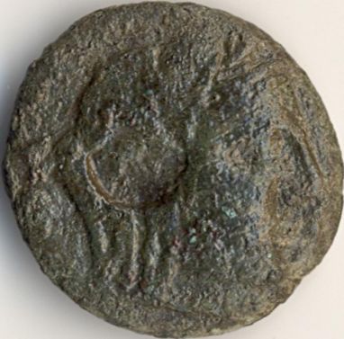 Demetra / acvil pe delfin - moned btut la Histria - avers