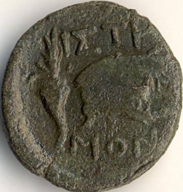 Demetra / acvil pe delfin - moned btut la Histria - revers