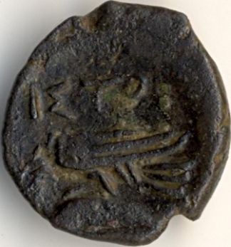 Zeu cu coarne / acvil pe delfin - moned btut la Histria - revers