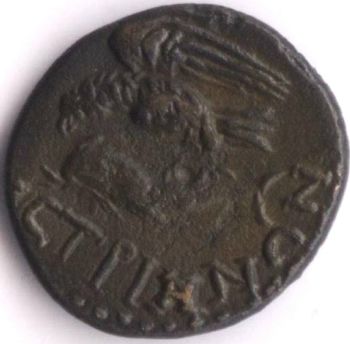 Commodus / acvil pe delfin - moned btut la Histria - revers