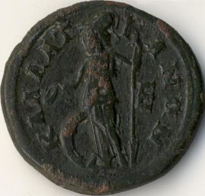 5 ai (assaria) - moned btut la Callatis n timpul mpratului Gordian III - revers