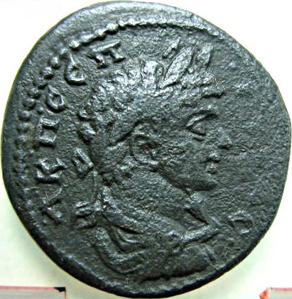 Geta / acvil - 4 ai (assaria) - moned btut la Tomis - avers